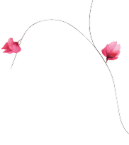 Mahindra Blossom